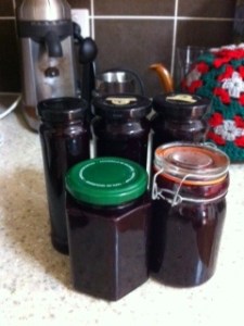 blueberry jam